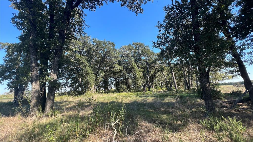0080 County Road 415, Navasota, Texas image 42