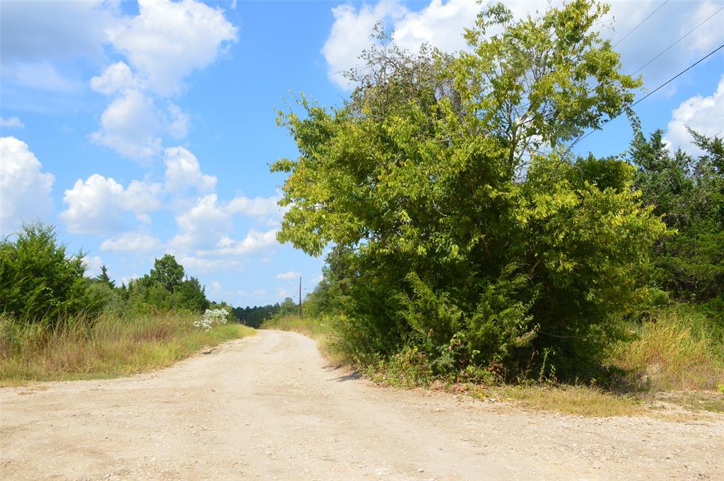 000235 Cypresswood Drive, Navasota, Texas image 6