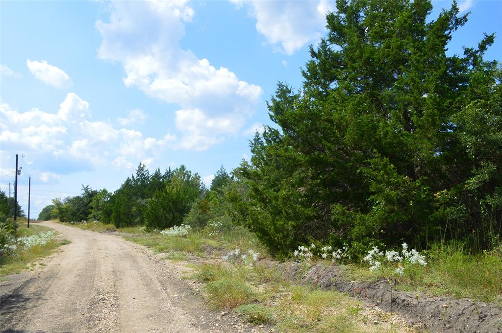 000235 Cypresswood Drive, Navasota, Texas image 8