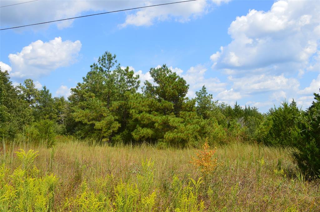 000235 Cypresswood Drive, Navasota, Texas image 2