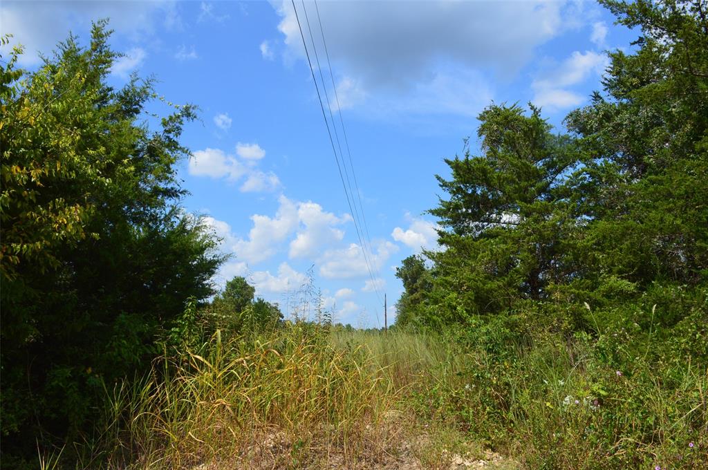 000235 Cypresswood Drive, Navasota, Texas image 3
