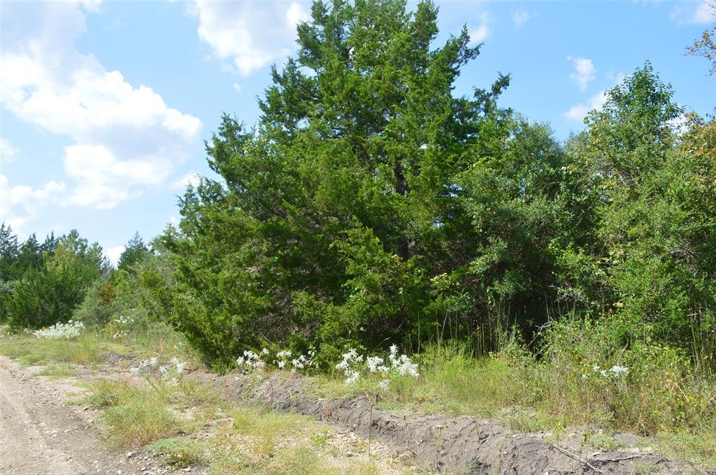 000235 Cypresswood Drive, Navasota, Texas image 10