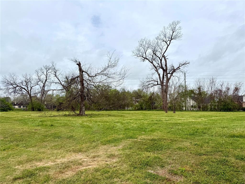 30602 Lower Oxbow Trace, Fulshear, Texas image 6