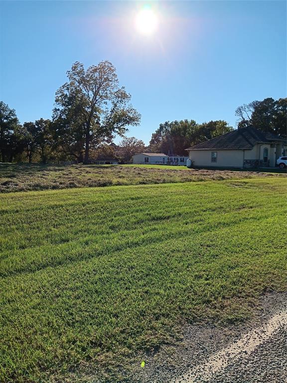 Lot 5 Liendo Drive, Trinity, Texas image 4