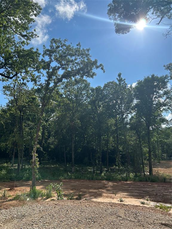 11363 Annie Creek Drive Dr, Willis, Texas image 1