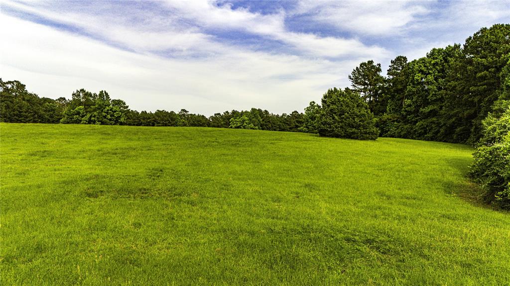 TBD Fm 2610 Livingston, Livingston, Texas image 9