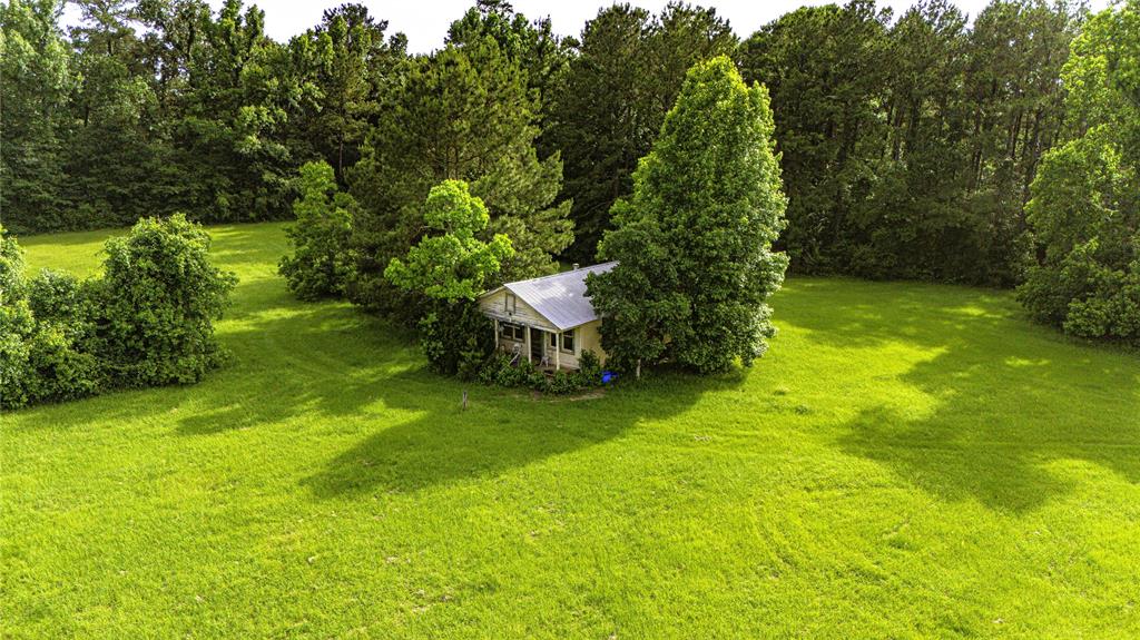 TBD FM 2610 Livingston