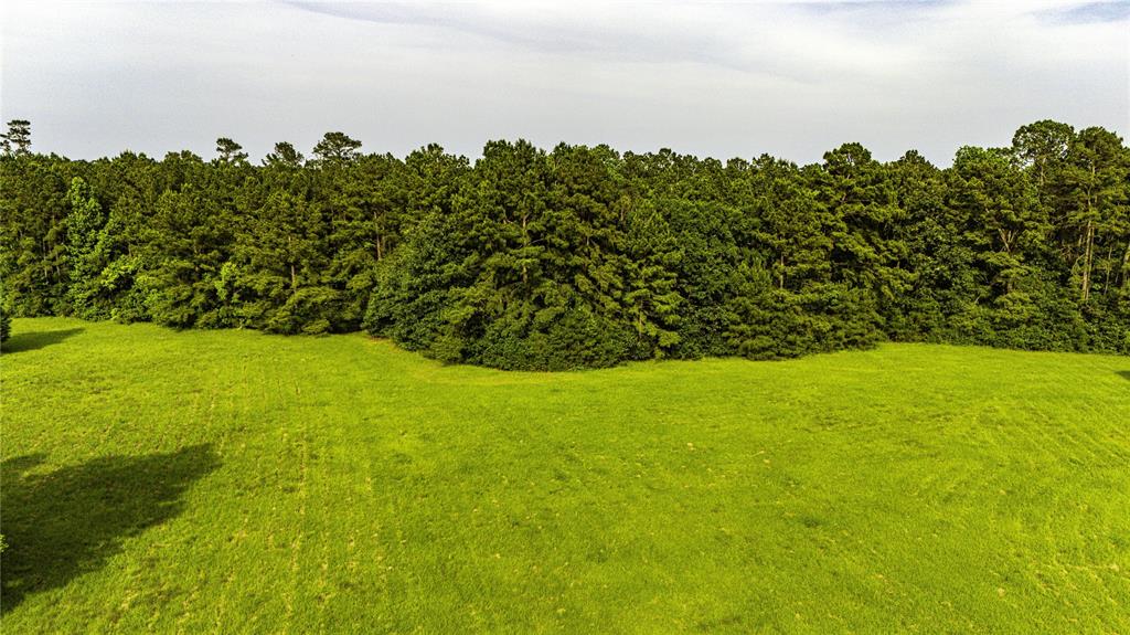 TBD Fm 2610 Livingston, Livingston, Texas image 13