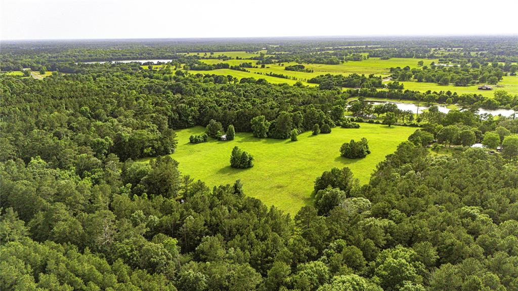TBD Fm 2610 Livingston, Livingston, Texas image 16