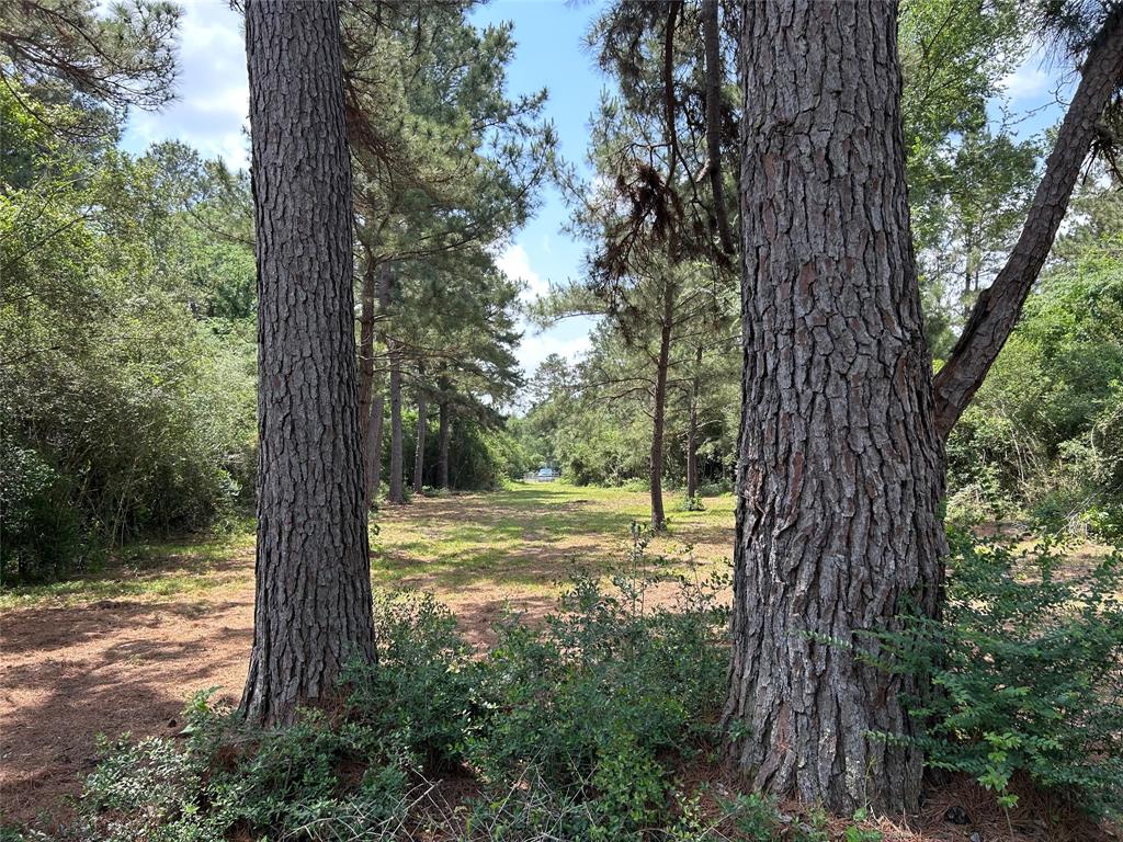 30320 Hegar Road, Hockley, Texas image 8