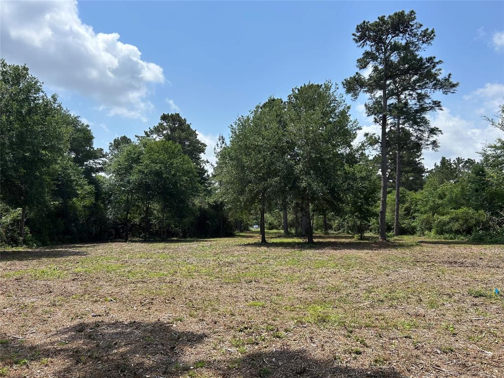 30320 Hegar Road, Hockley, Texas image 5