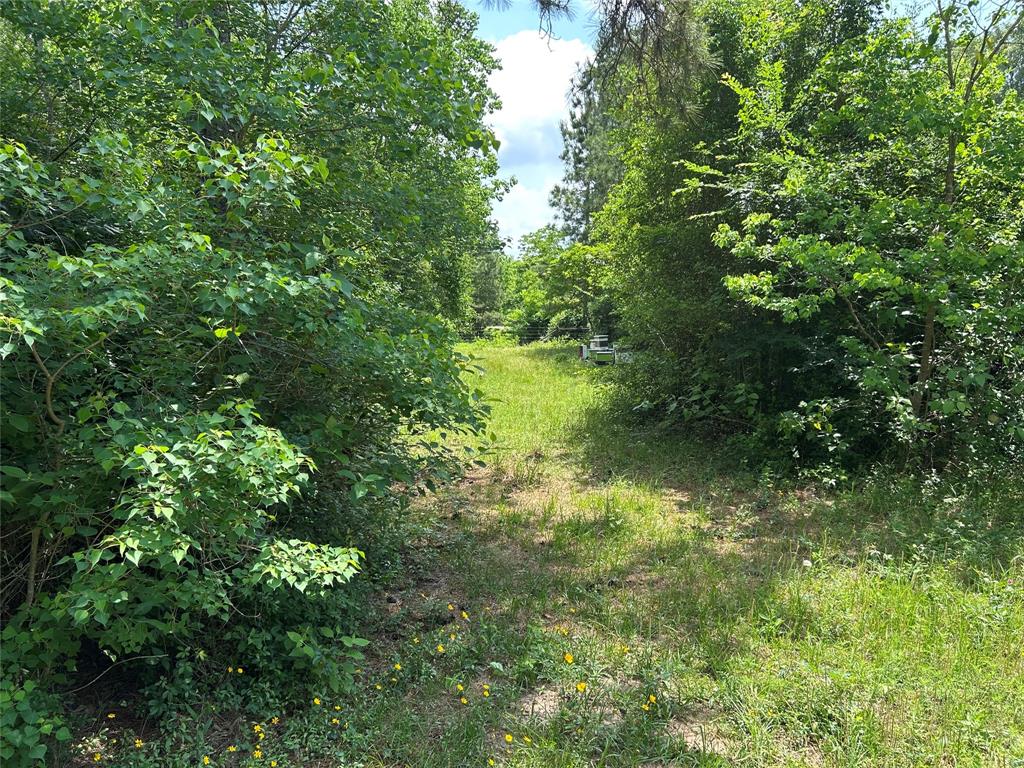 30320 Hegar Road, Hockley, Texas image 11