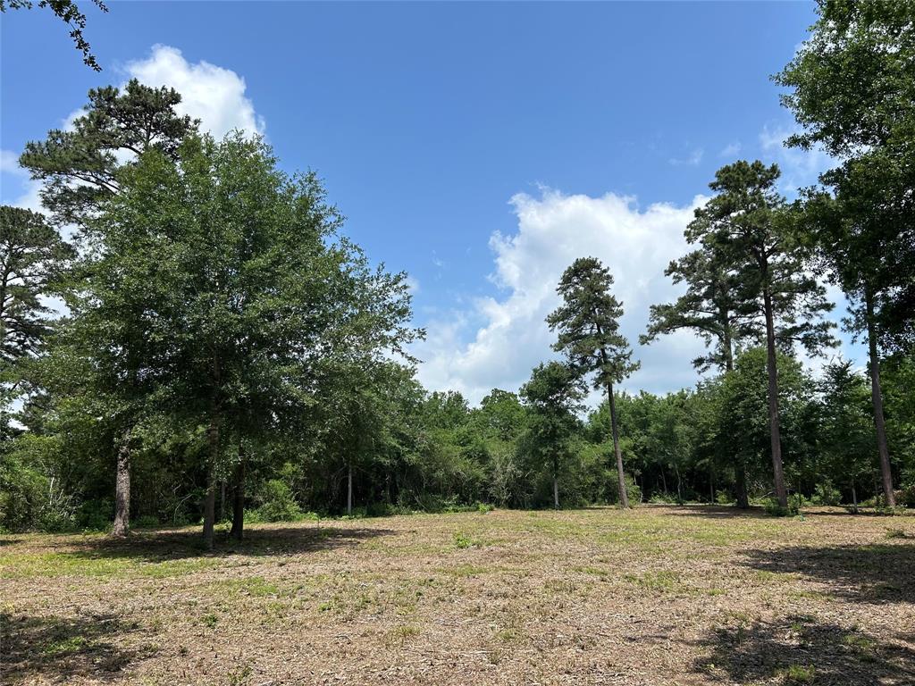30320 Hegar Road, Hockley, Texas image 2