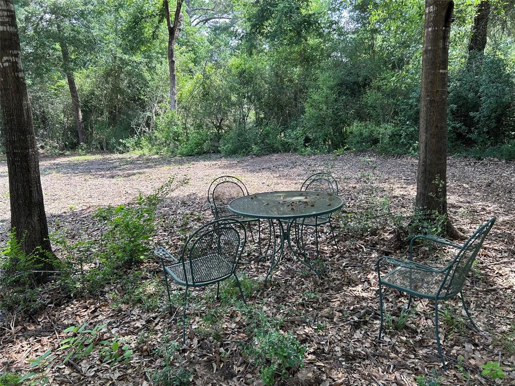 30320 Hegar Road, Hockley, Texas image 7