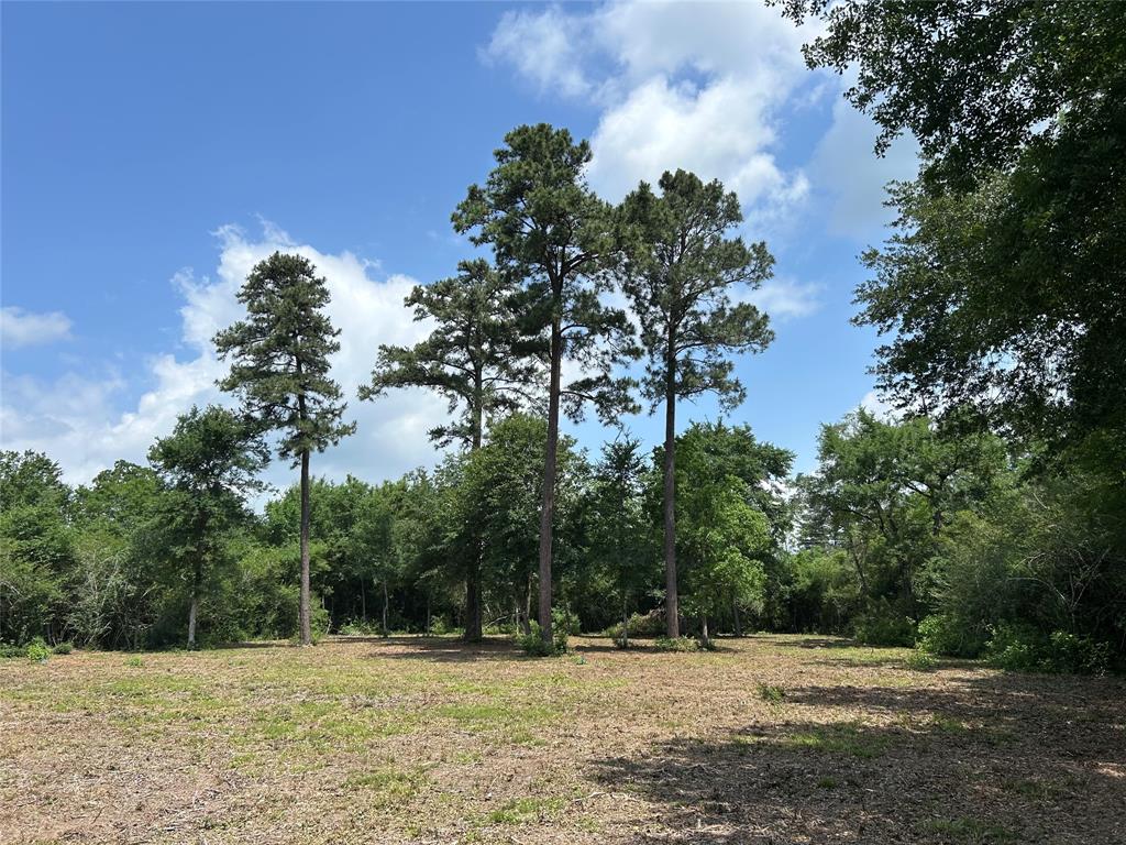 30320 Hegar Road, Hockley, Texas image 3