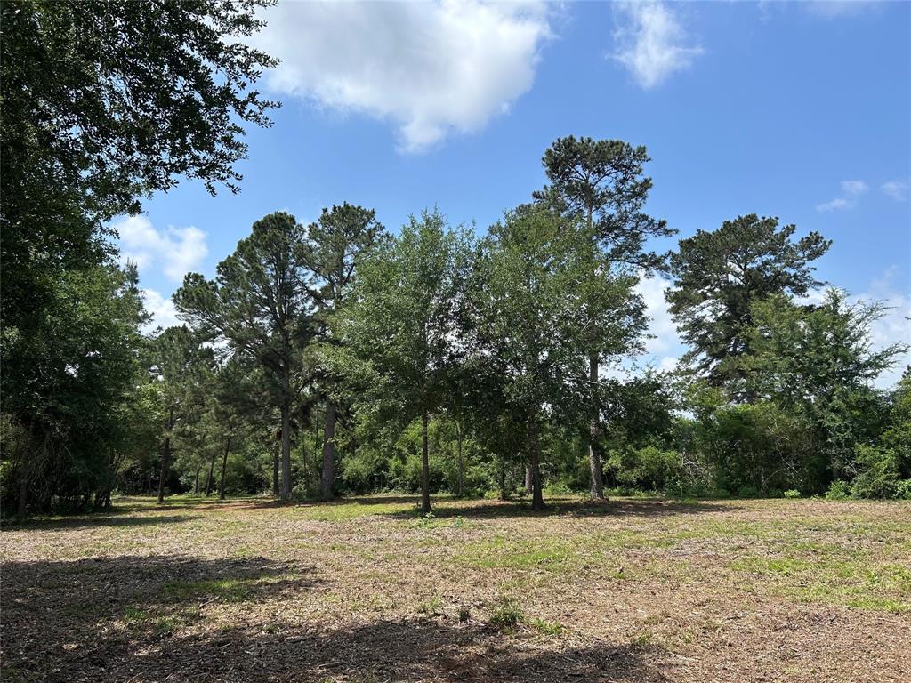 30320 Hegar Road, Hockley, Texas image 4