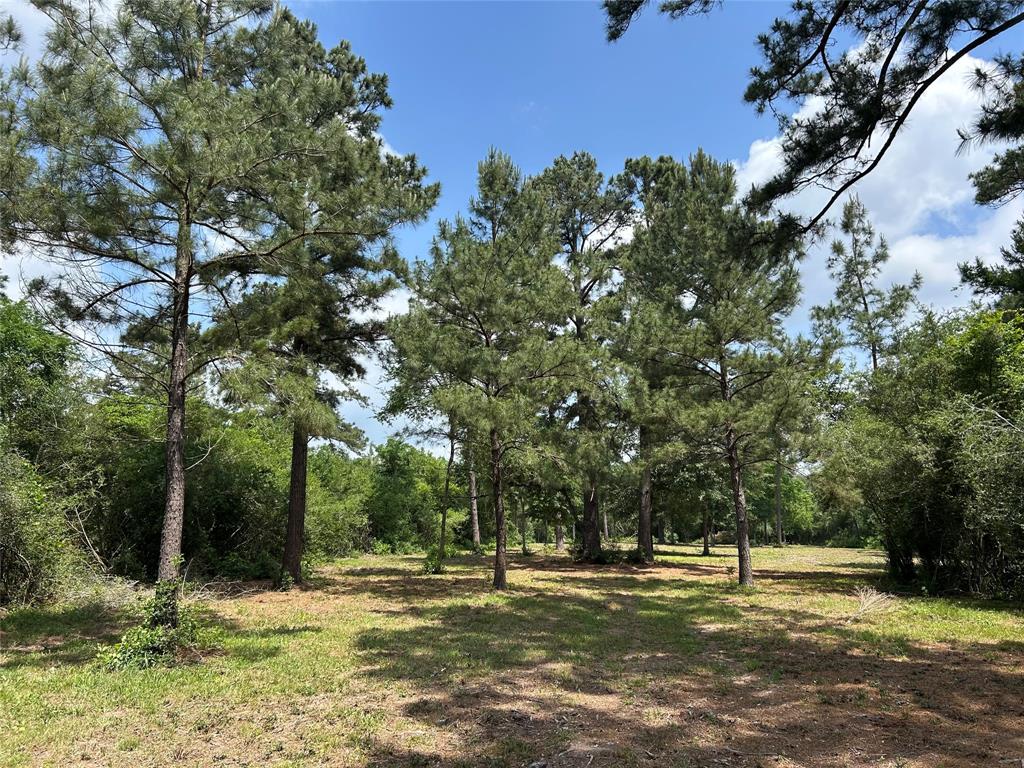 30320 Hegar Road, Hockley, Texas image 10