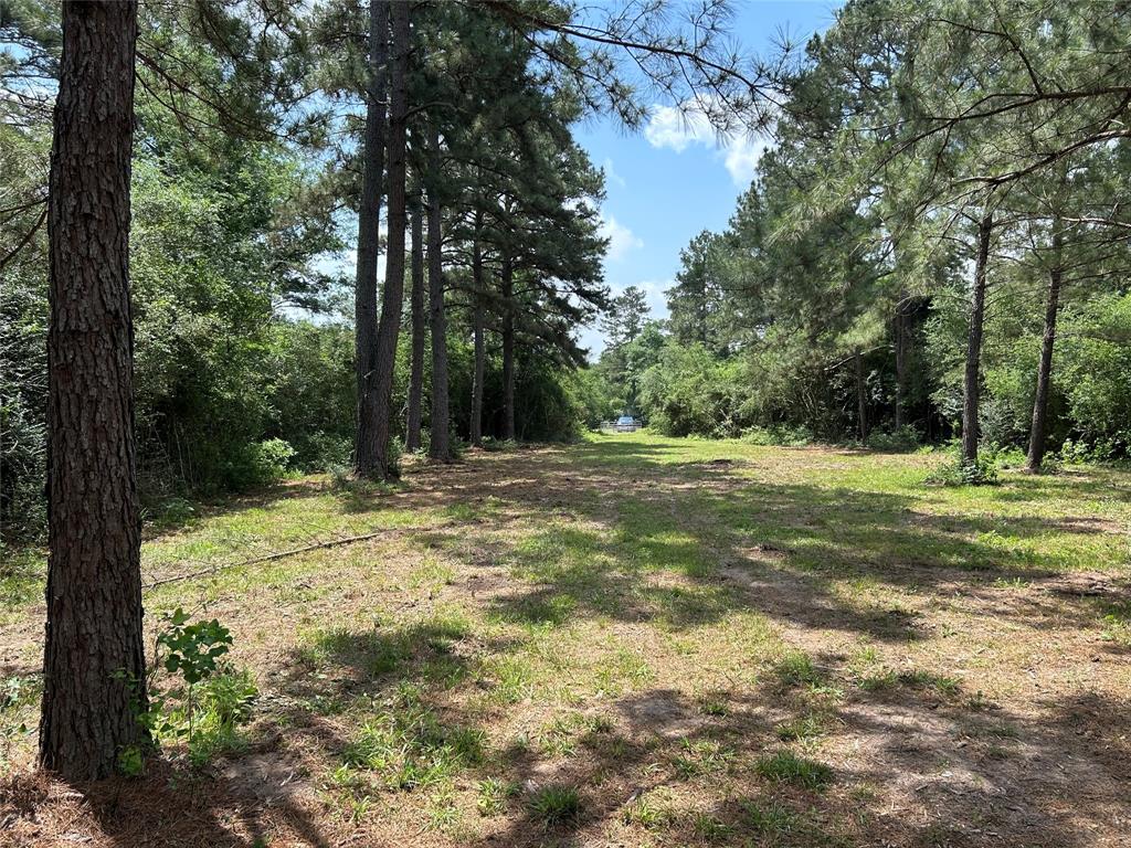 30320 Hegar Road, Hockley, Texas image 9