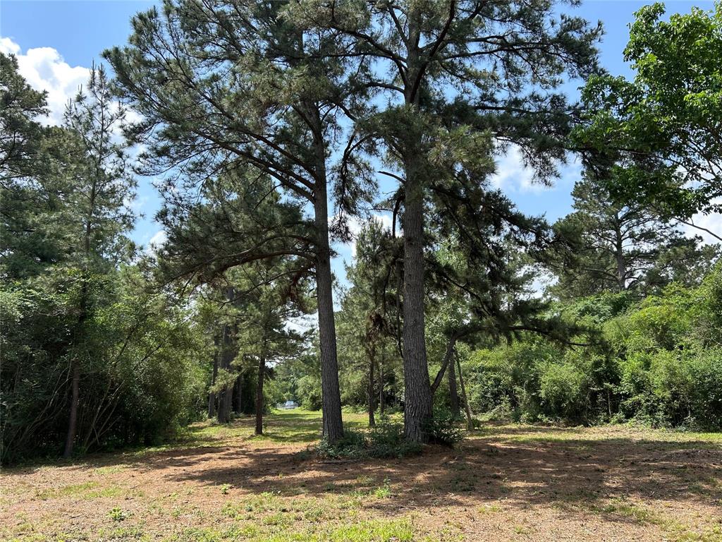 30320 Hegar Road, Hockley, Texas image 6