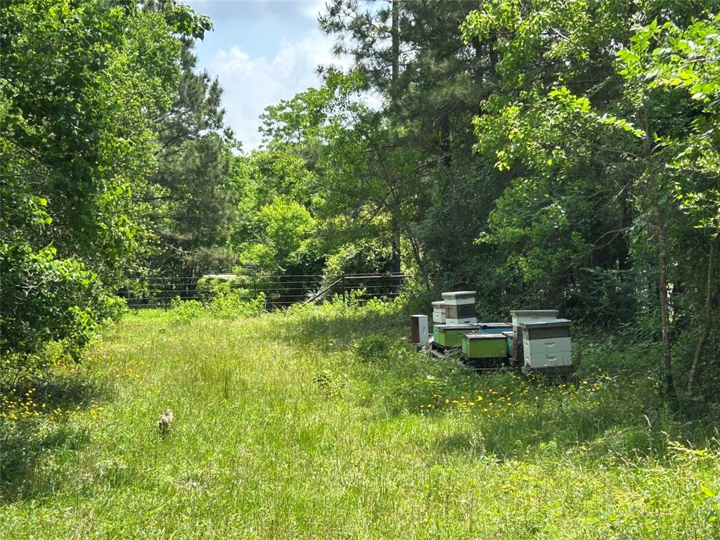 30320 Hegar Road, Hockley, Texas image 12