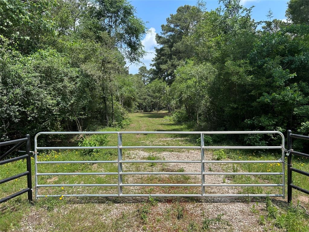 30320 Hegar Road, Hockley, Texas image 13