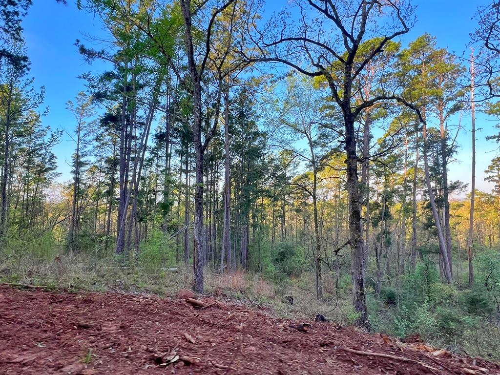 99 Ac Cr 2107, Rusk, Texas image 30