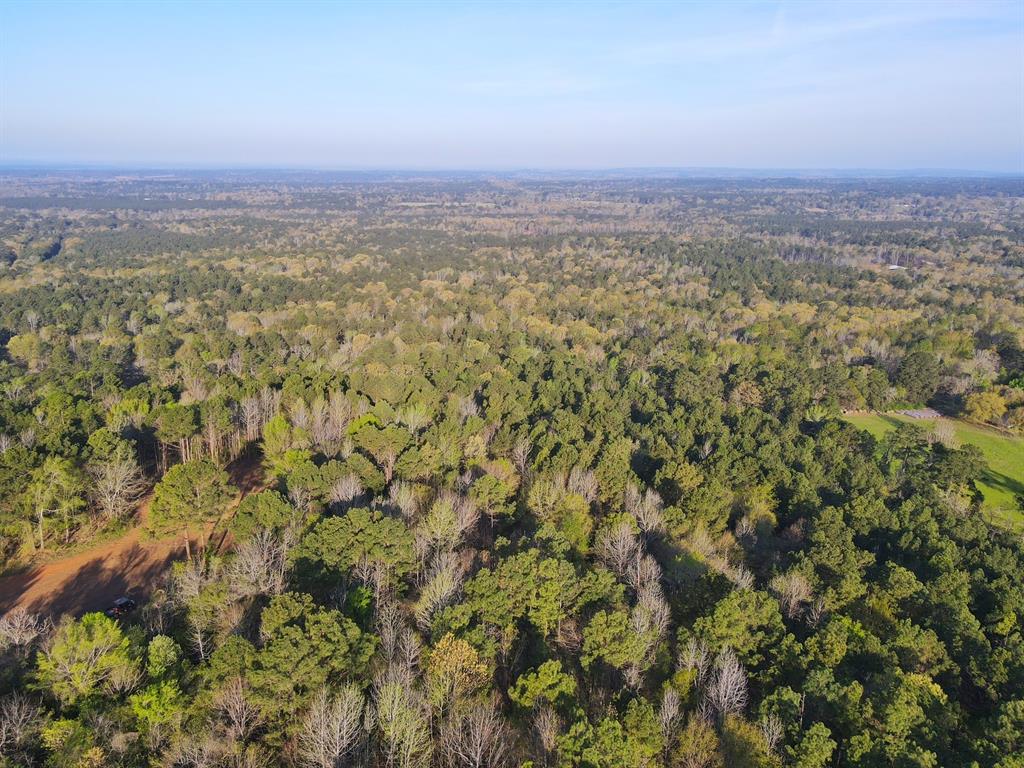 99 Ac Cr 2107, Rusk, Texas image 16