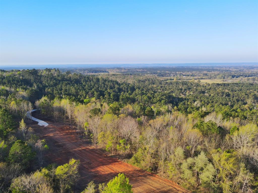 99 Ac Cr 2107, Rusk, Texas image 10