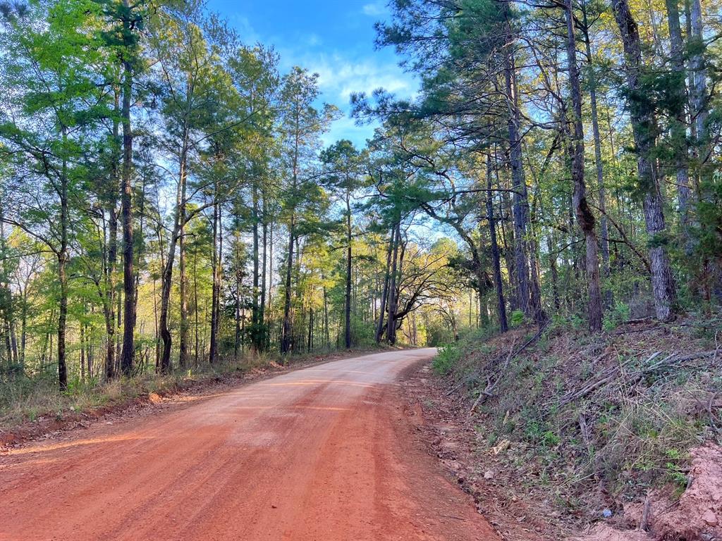 99 Ac Cr 2107, Rusk, Texas image 23