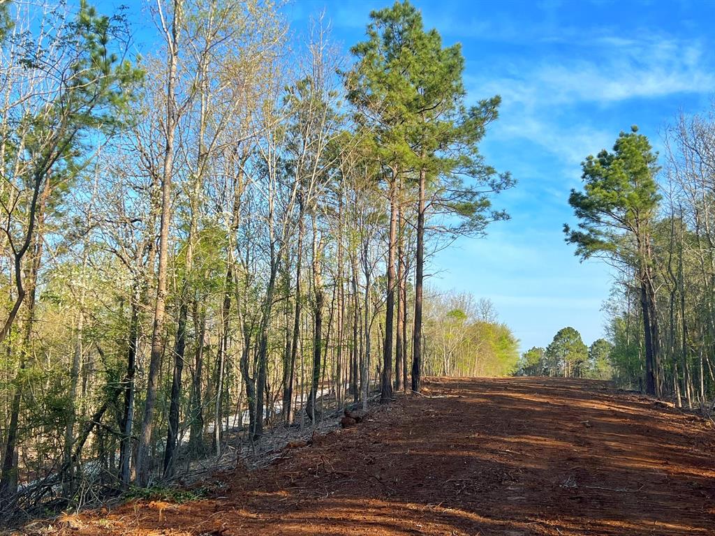 99 Ac Cr 2107, Rusk, Texas image 13