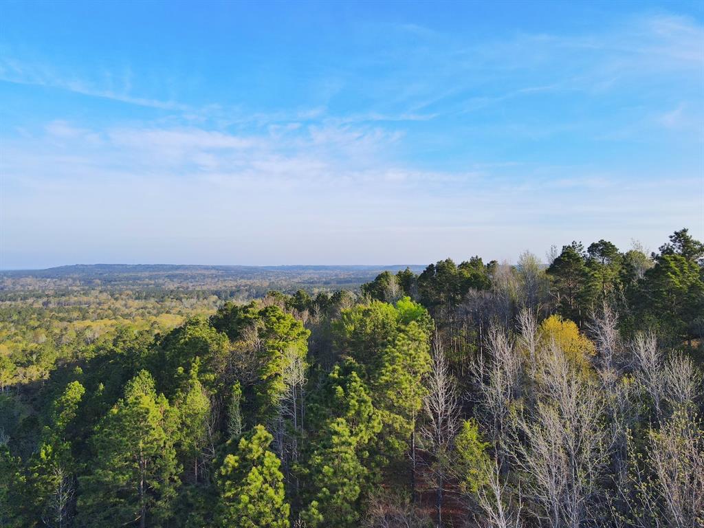 99 Ac Cr 2107, Rusk, Texas image 2