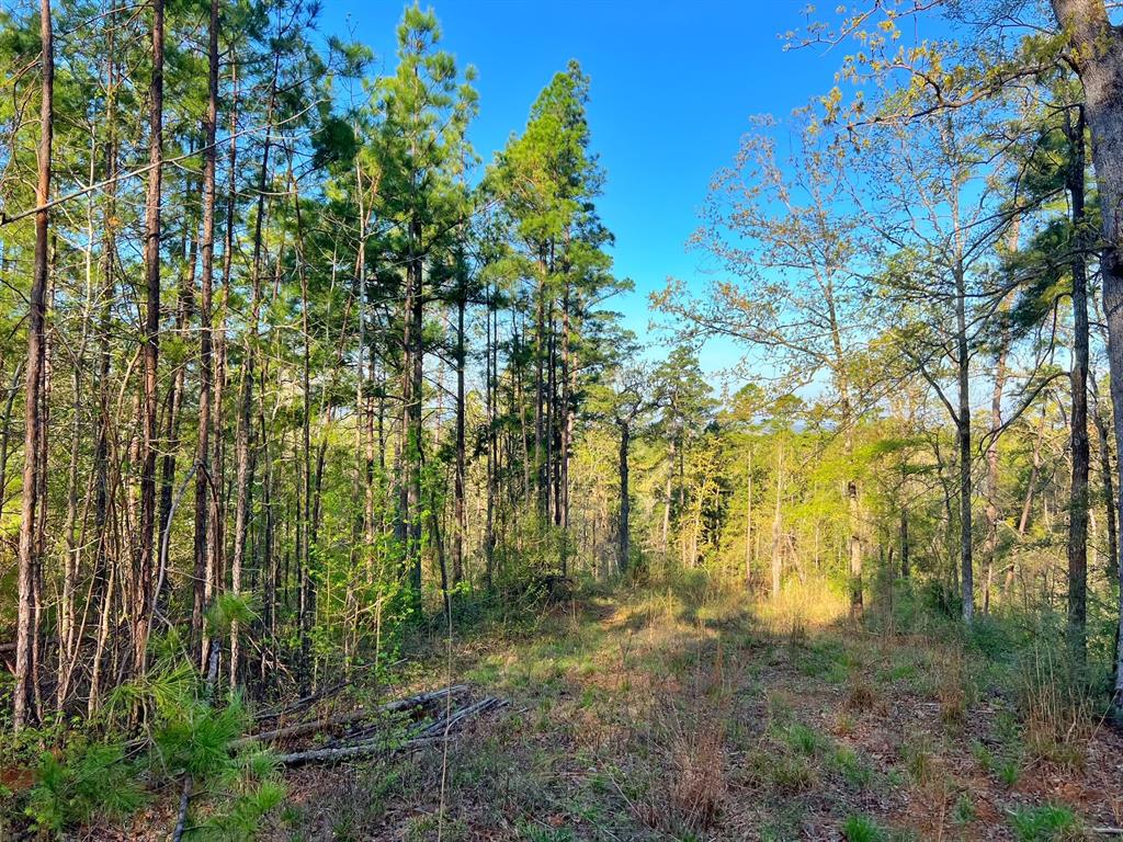 99 Ac Cr 2107, Rusk, Texas image 3
