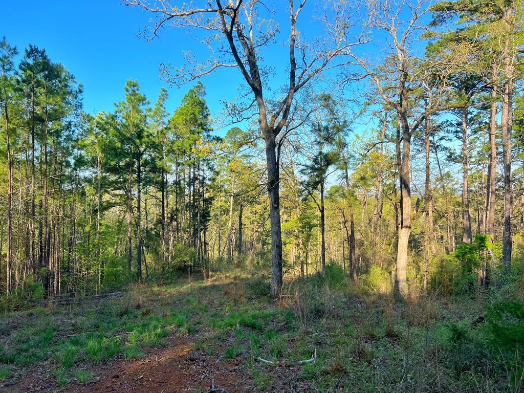 99 Ac Cr 2107, Rusk, Texas image 33