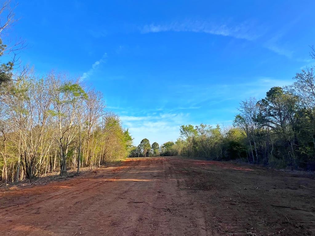 99 Ac Cr 2107, Rusk, Texas image 21