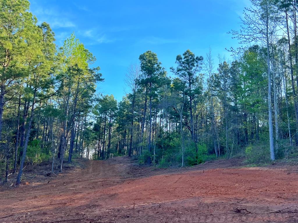 99 Ac Cr 2107, Rusk, Texas image 9