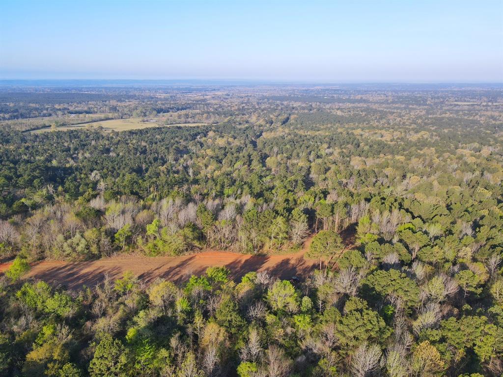 99 Ac Cr 2107, Rusk, Texas image 14