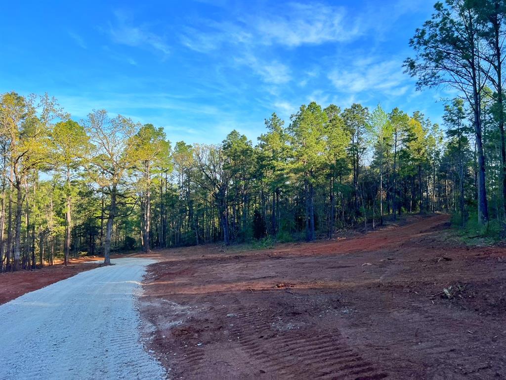 99 Ac Cr 2107, Rusk, Texas image 28