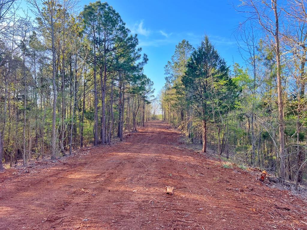99 Ac Cr 2107, Rusk, Texas image 11