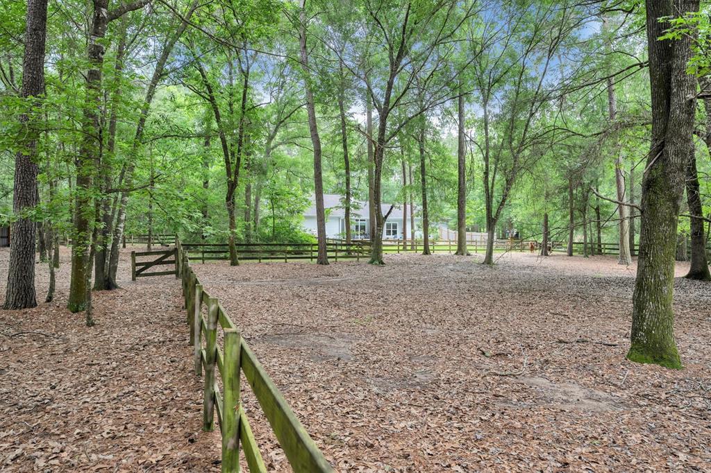 103 Ebner Lake Drive, Montgomery, Texas image 47