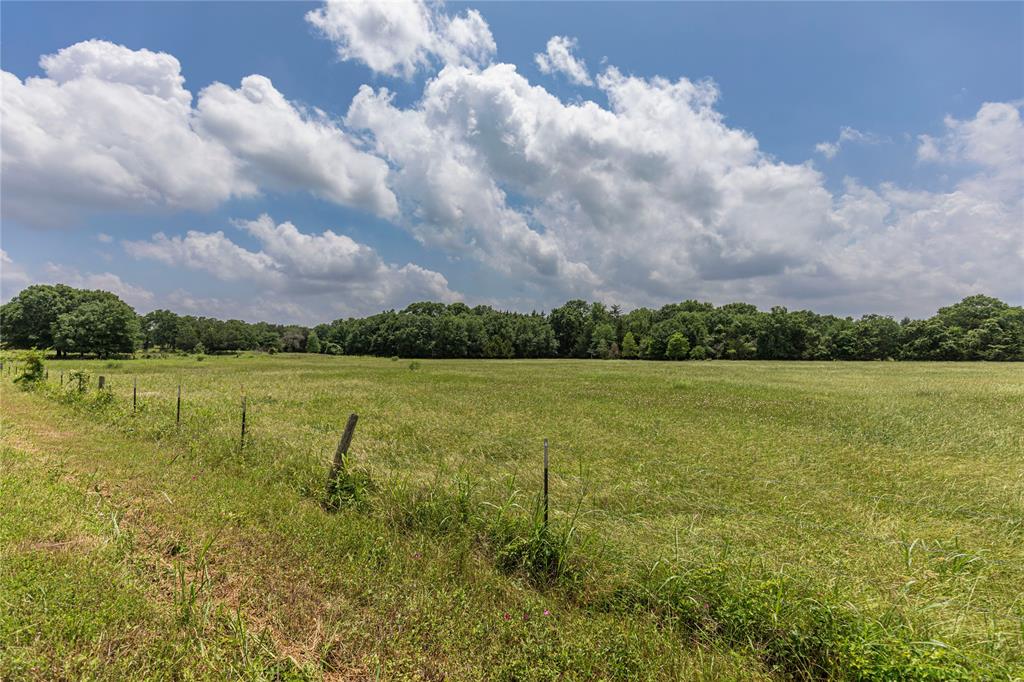 Skalak Road, New Ulm, Texas image 11