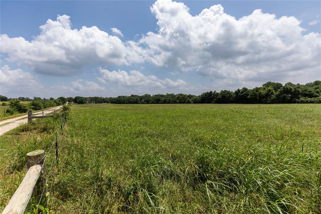 Skalak Road, New Ulm, Texas image 2