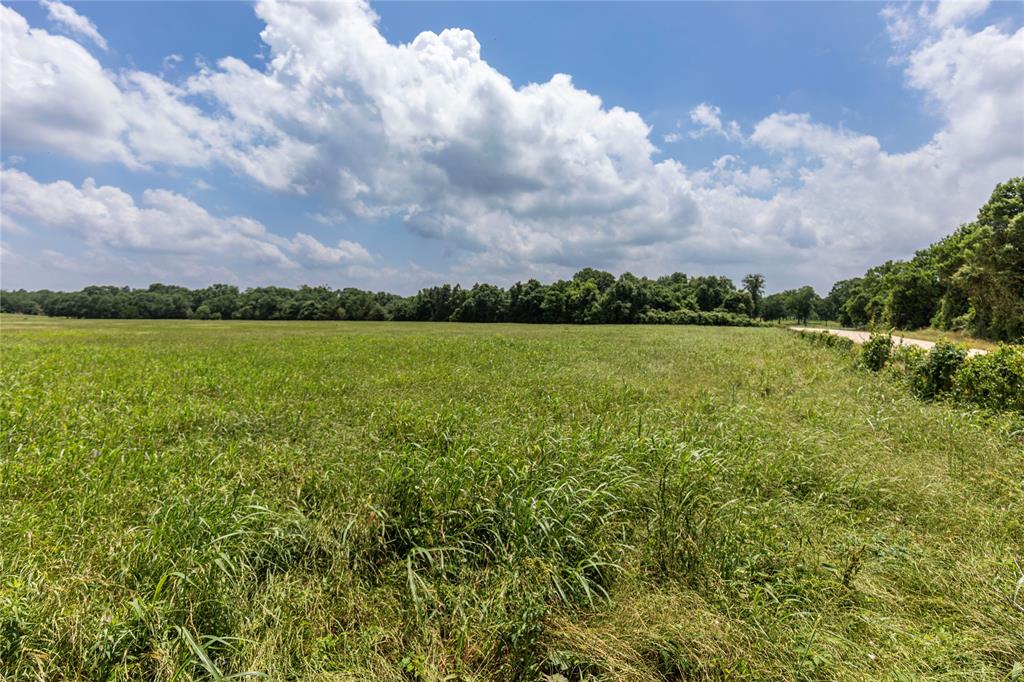 Skalak Road, New Ulm, Texas image 6