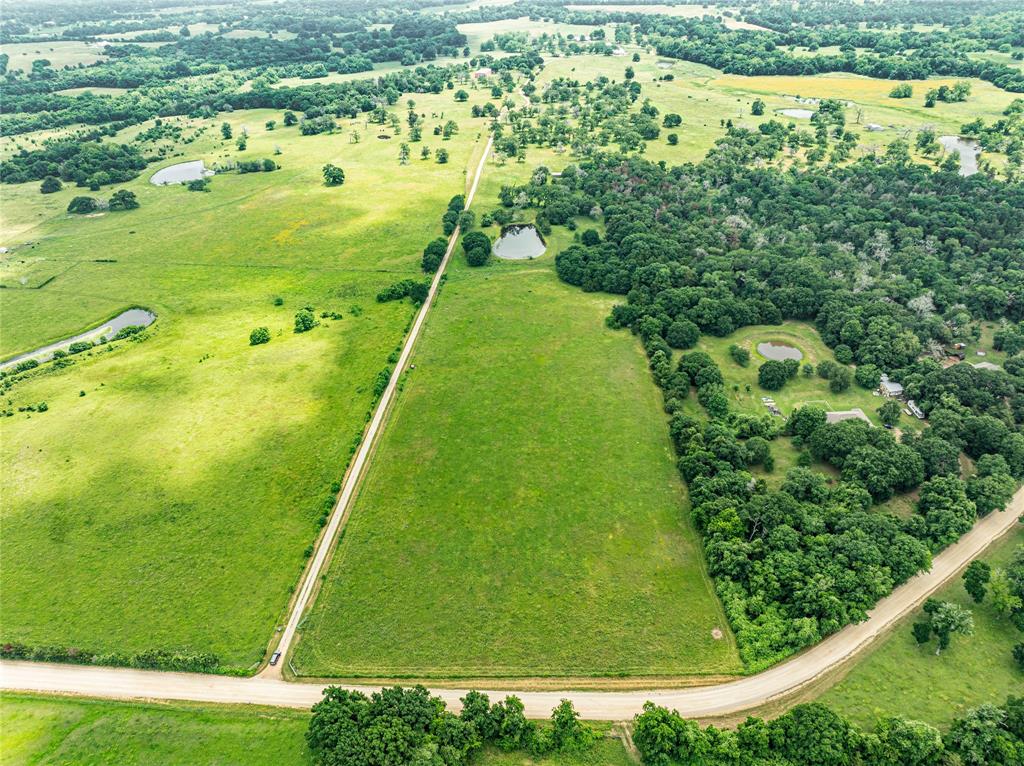 Skalak Road, New Ulm, Texas image 10