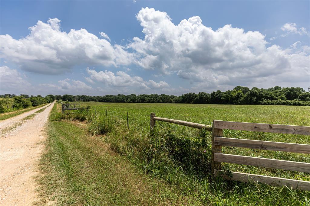 Skalak Road, New Ulm, Texas image 3
