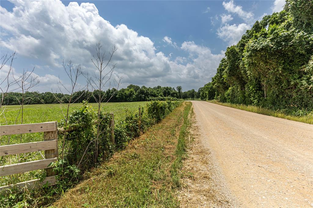 Skalak Road, New Ulm, Texas image 4