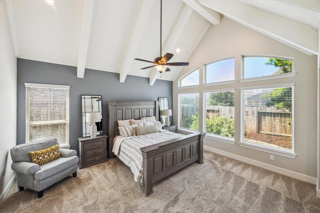 8207 Mesquite Hill Lane, Richmond, Texas image 18