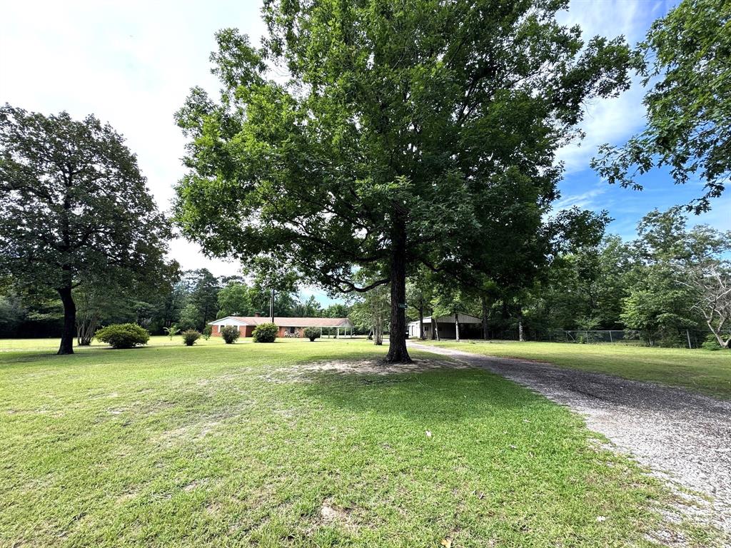 2468 County Road 4260, Woodville, Texas image 2