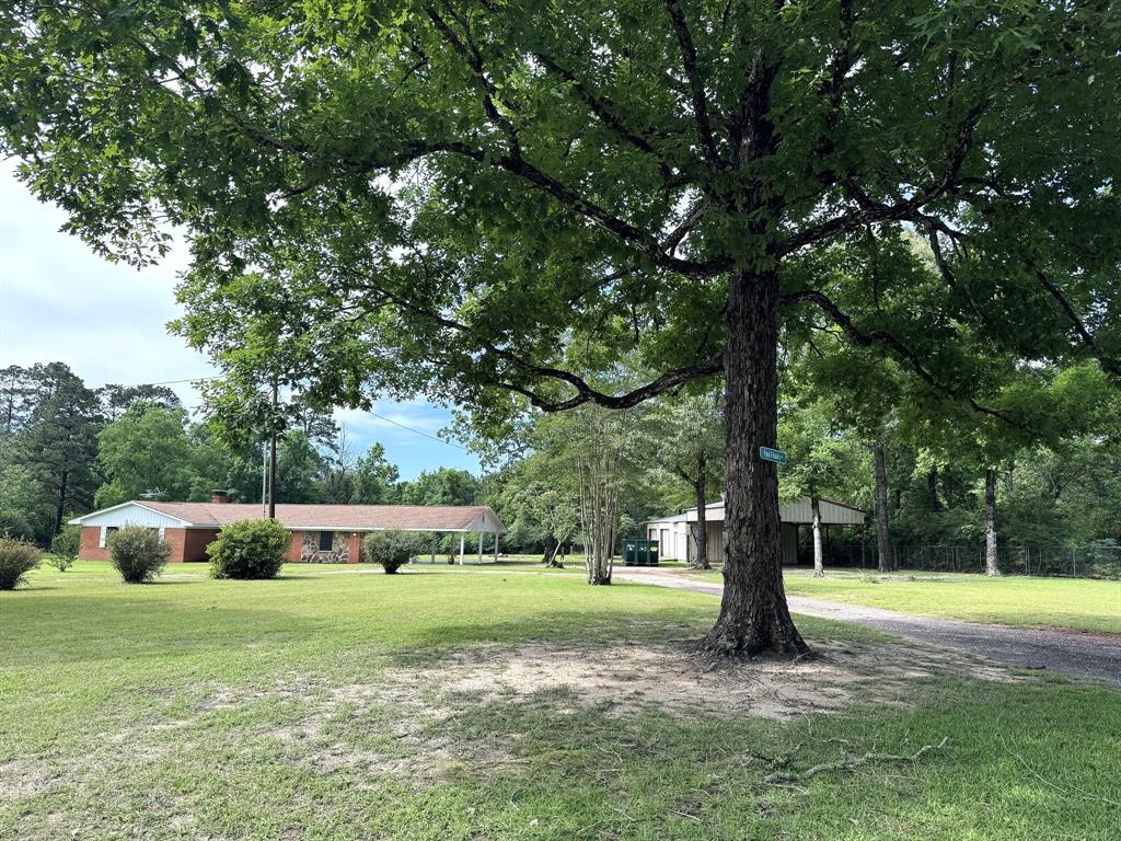 2468 County Road 4260, Woodville, Texas image 6