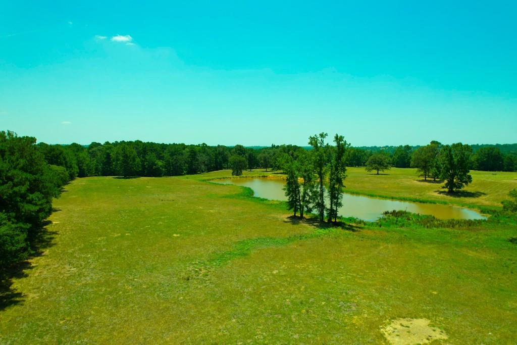 TBD Fm 323 / Acr 1224, Elkhart, Texas image 9