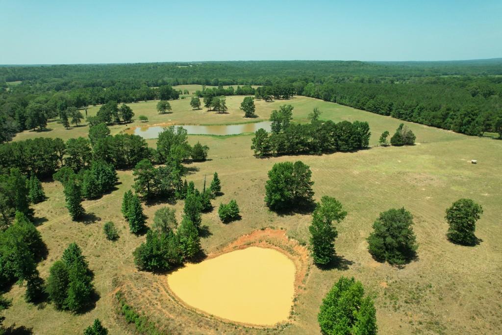 TBD Fm 323 / Acr 1224, Elkhart, Texas image 7